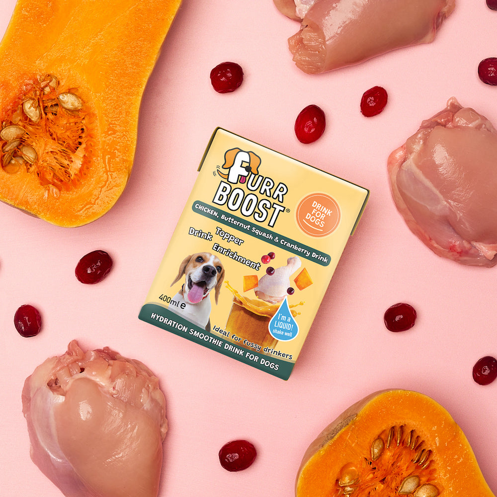 Chicken Butternut Squash and Cranberry Dog Drink 400ml