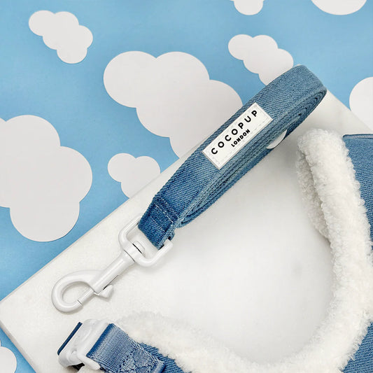 Cloud Nine Lead