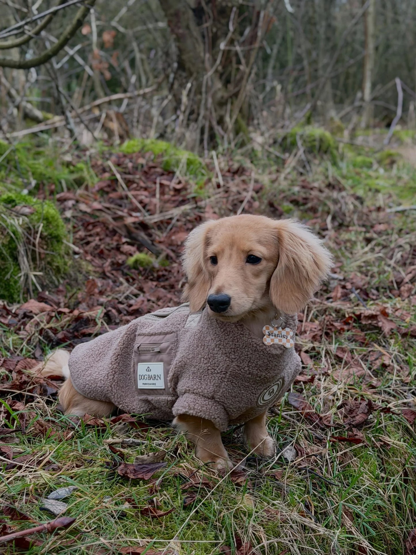 Truffle Dusk Dachshund Sherpa Fleece