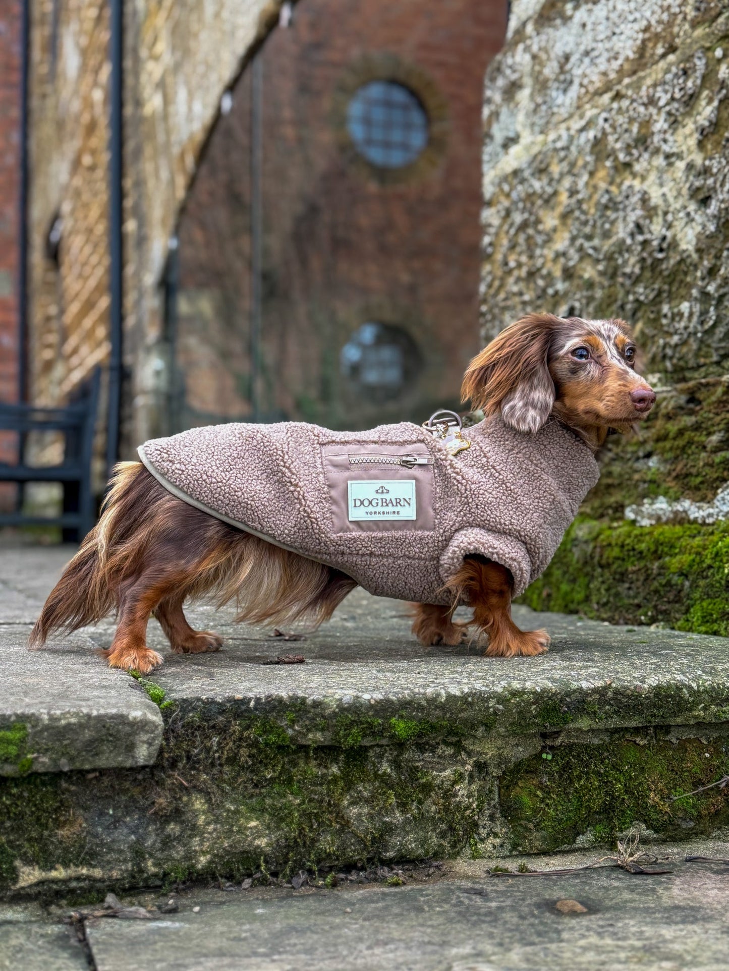Truffle Dusk Dachshund Sherpa Fleece
