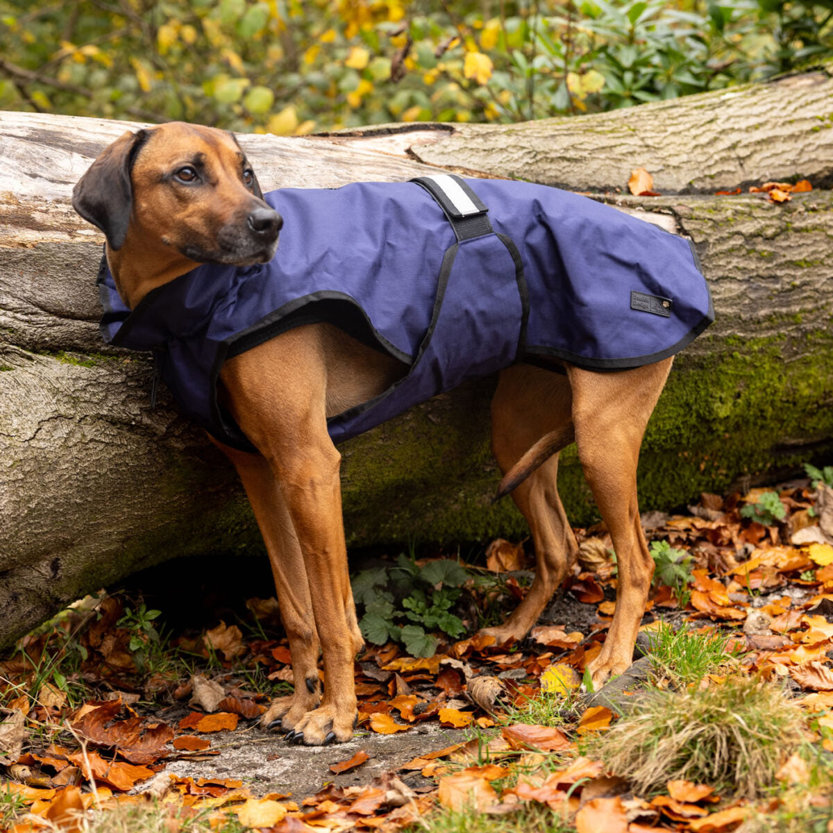 Danish Design 3-In-1 Dog Coat Navy