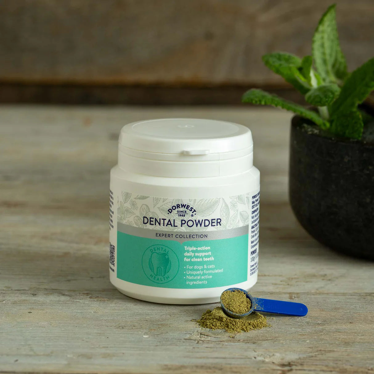 Dental Powder 100g