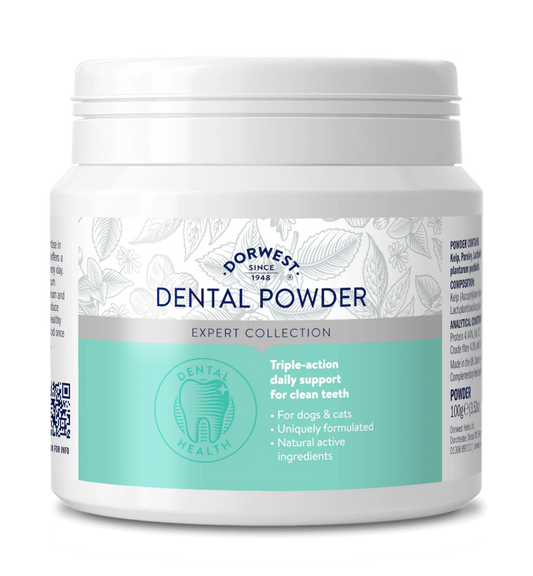 Dental Powder 100g