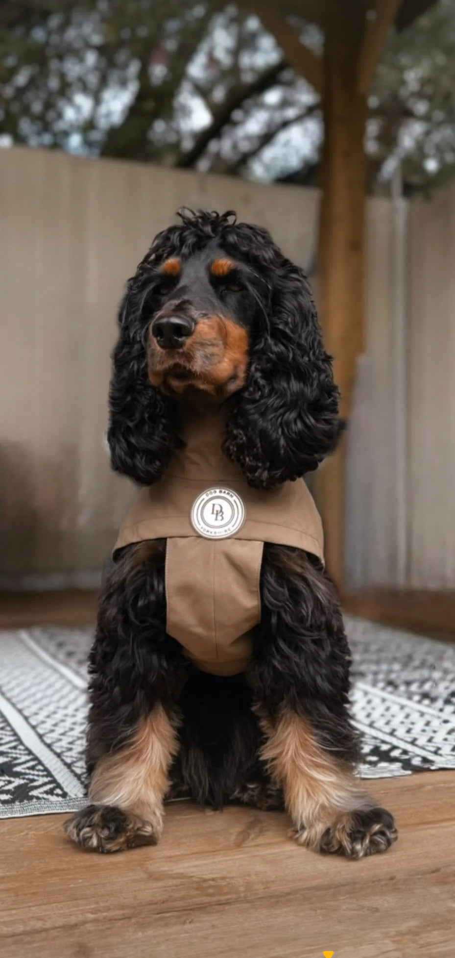 Chestnut Trail Rain Jacket