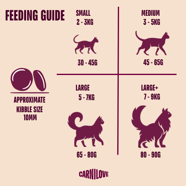 Active Salmon & Turkey Cat Food for Adult Cats