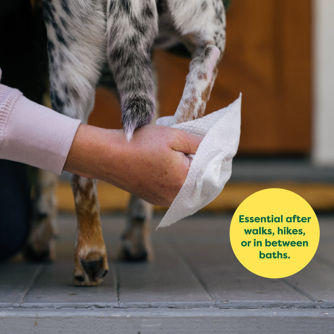 Earth Rated Pet Grooming Wipes 100pk Unscented