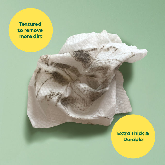 Earth Rated Pet Grooming Wipes 100pk Unscented