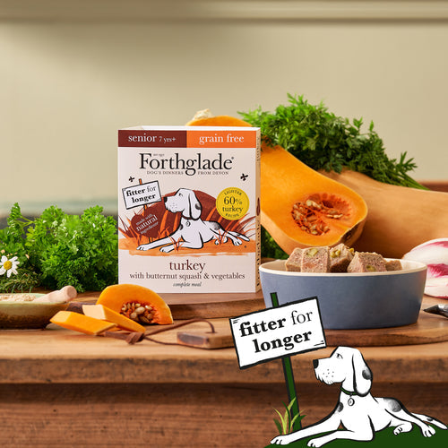 Forthglade Grain Free Turkey, Butternut Squash & Vegetables Complete Senior Wet Dog Food 395g