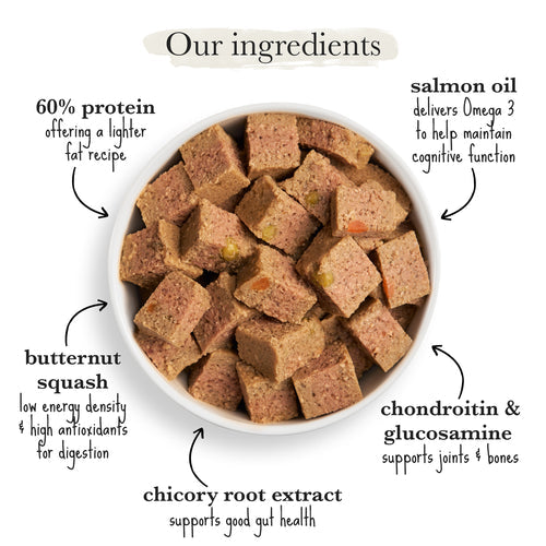 Forthglade Grain Free Turkey, Butternut Squash & Vegetables Complete Senior Wet Dog Food 395g