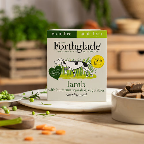 Forthglade Complete Meal Lamb Butternut Squash and Veg Grain Free 395g
