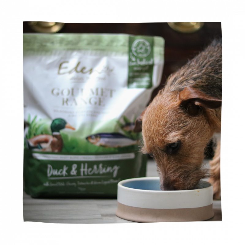 Eden Gourmet Range Duck & Herring