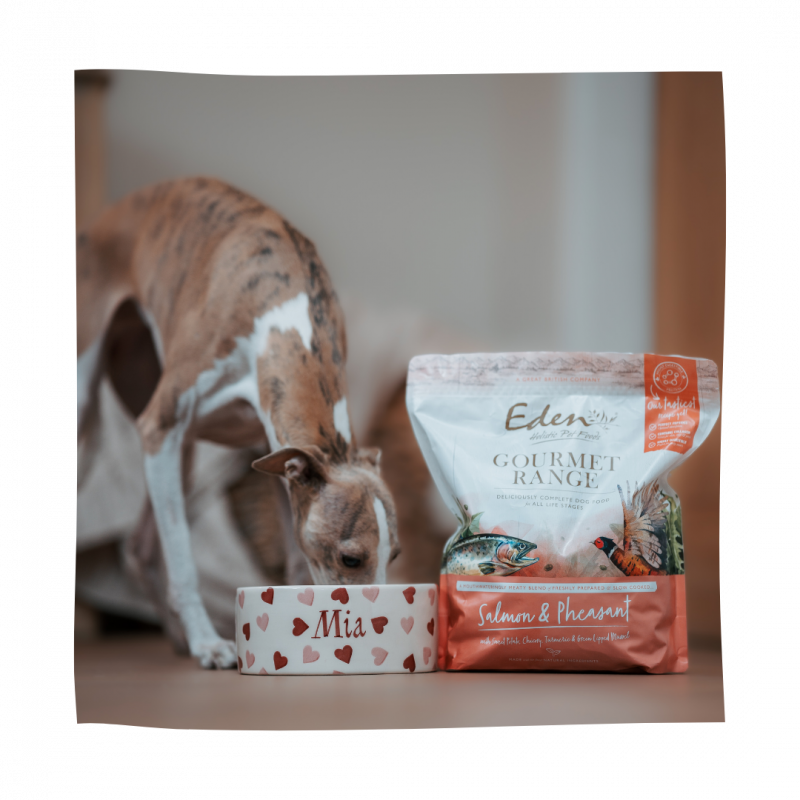 Eden Gourmet Range Salmon & Pheasant