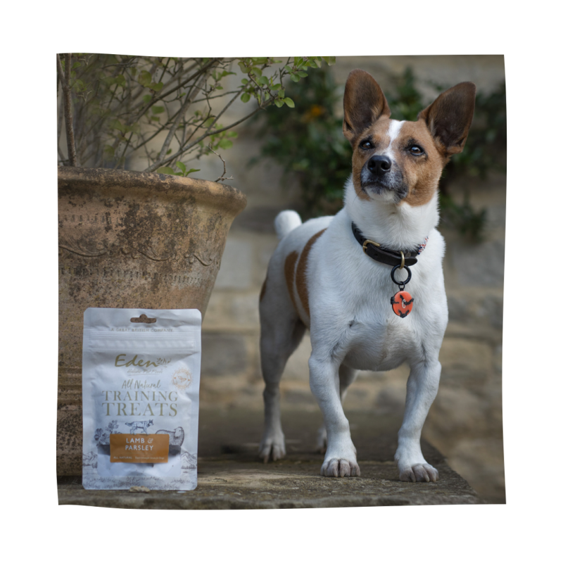 Eden Lamb & Parsley Training Treats 80g