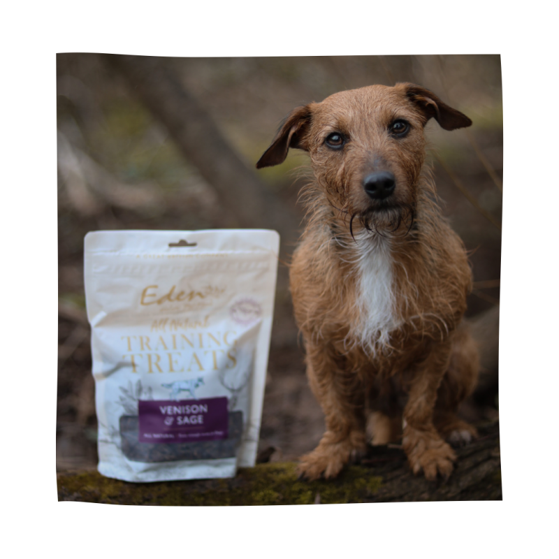 Eden Venison & Sage Training Treats 80g