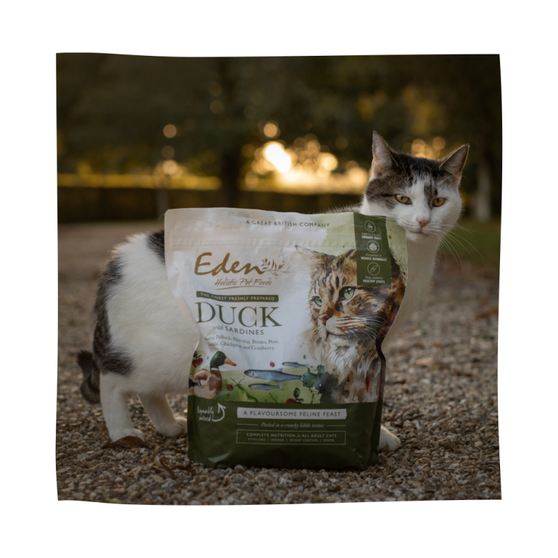 Eden Duck with Sardines Feline Feast 1.5kg