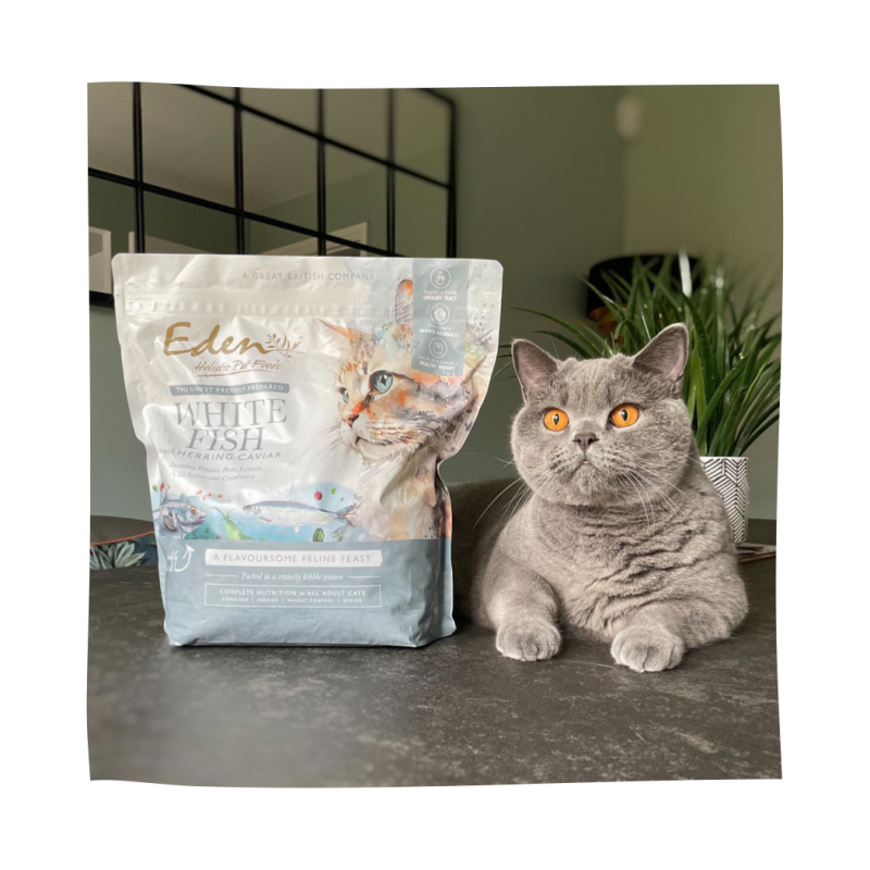 Eden White Fish with Herring Caviar Feline Feast 1.5kg