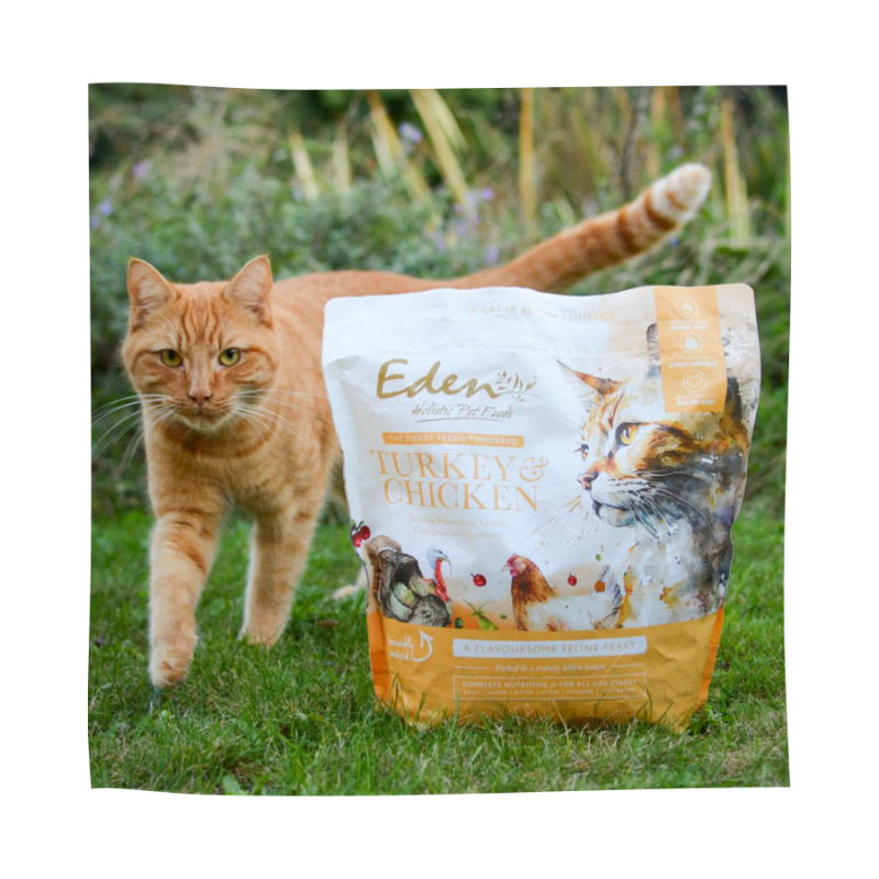 Eden Turkey with Chicken Feline Feast 1.5kg