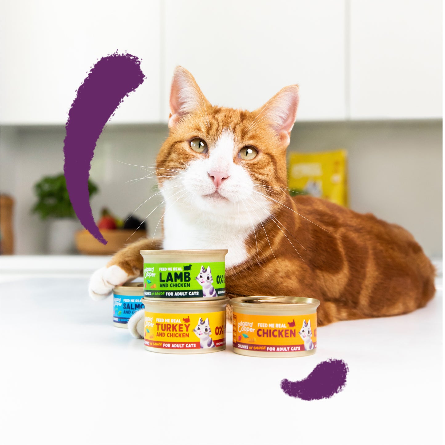 Edgard & Cooper Cat Chunks Salmon & Chicken 85g