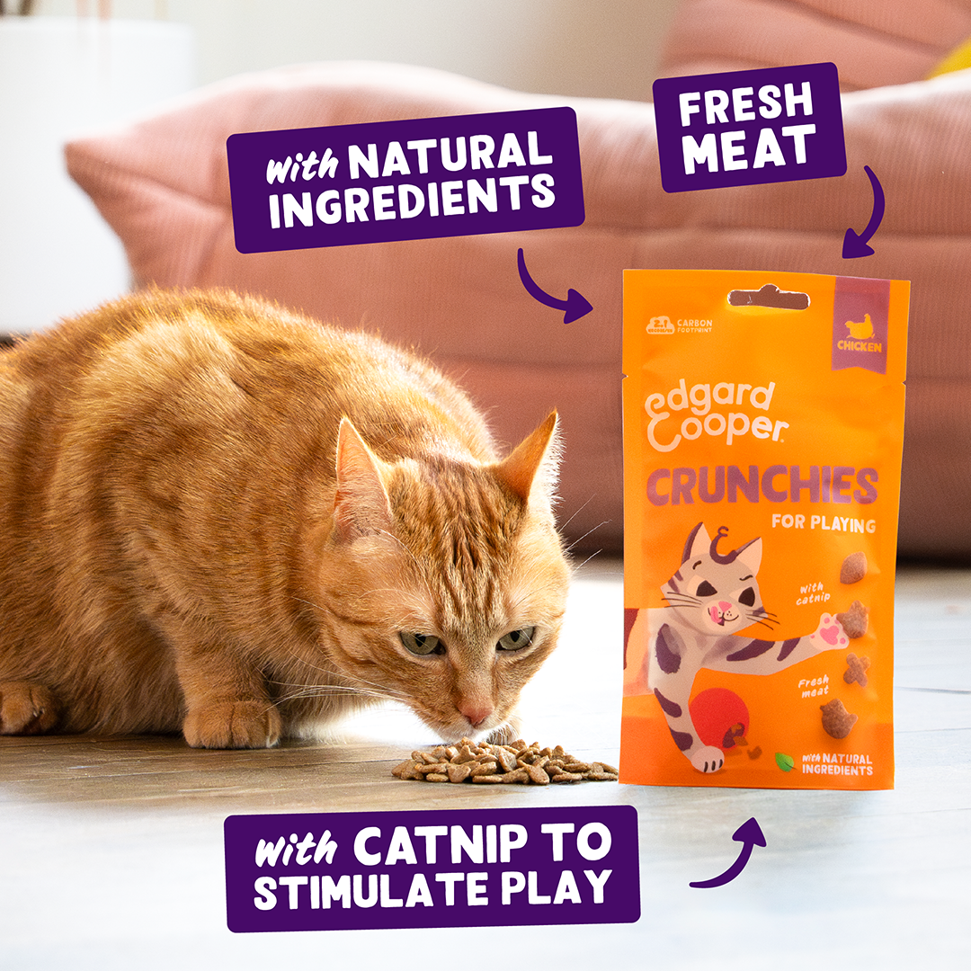 Edgard & Cooper Cat Crunchies Chicken Flavour 50g