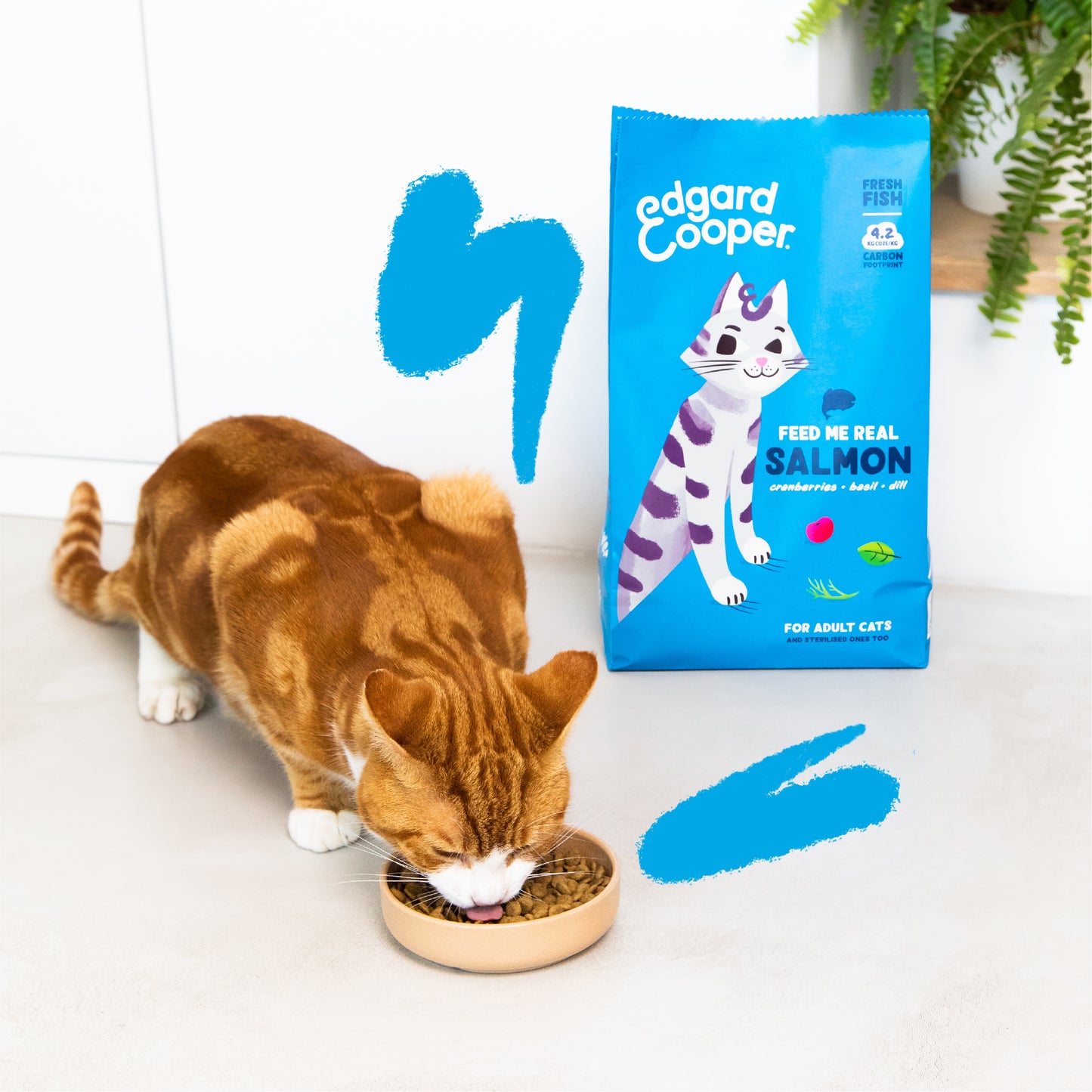 Edgard & Cooper Cat Kibble Salmon