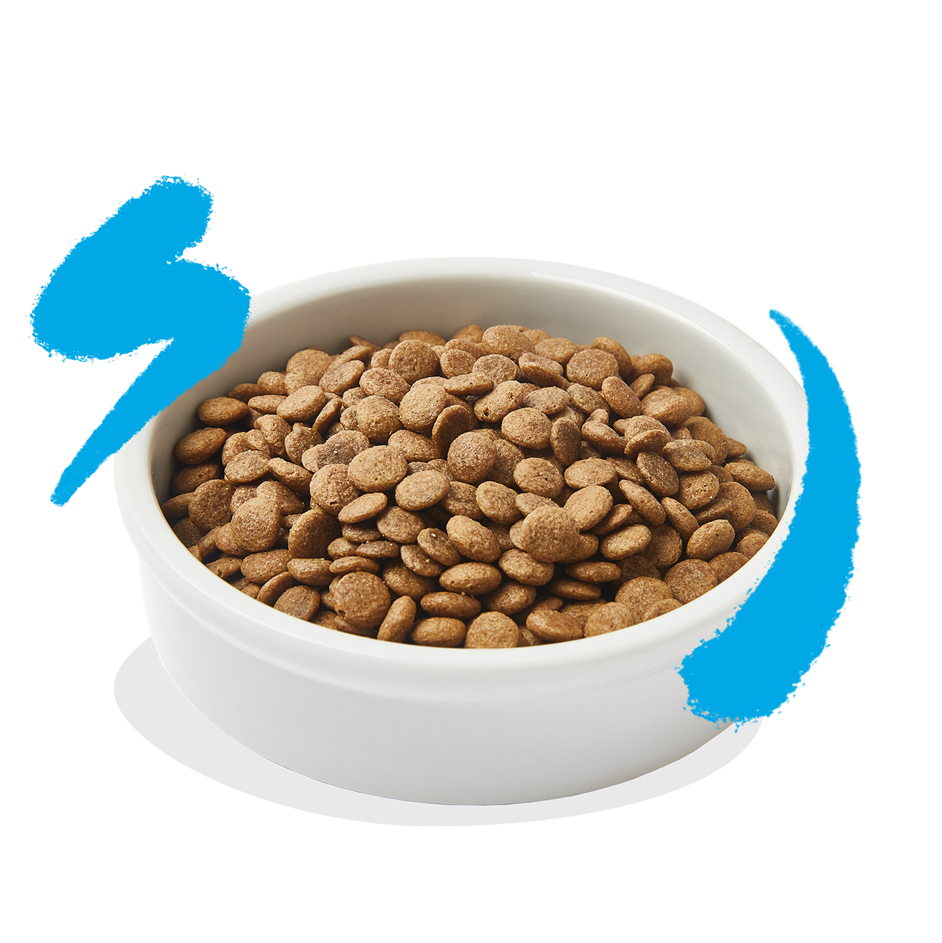 Edgard & Cooper Cat Kibble Salmon