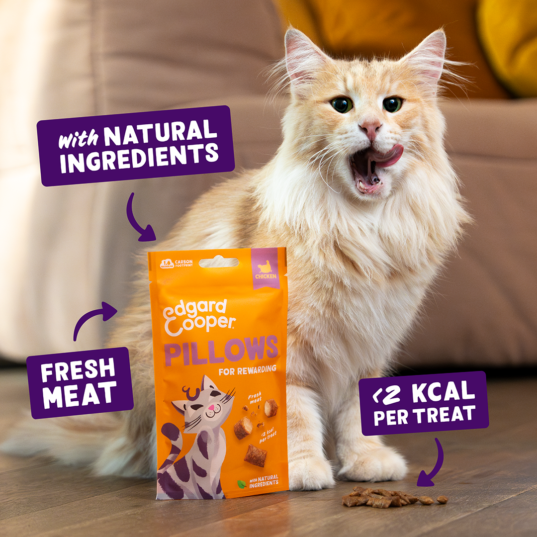 Edgard & Cooper Cat Pillows Chicken Flavour 60g