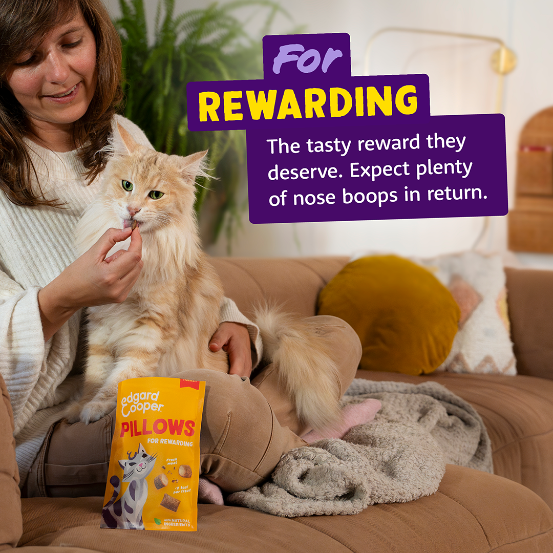 Edgard & Cooper Cat Pillows Turkey Flavour 60g