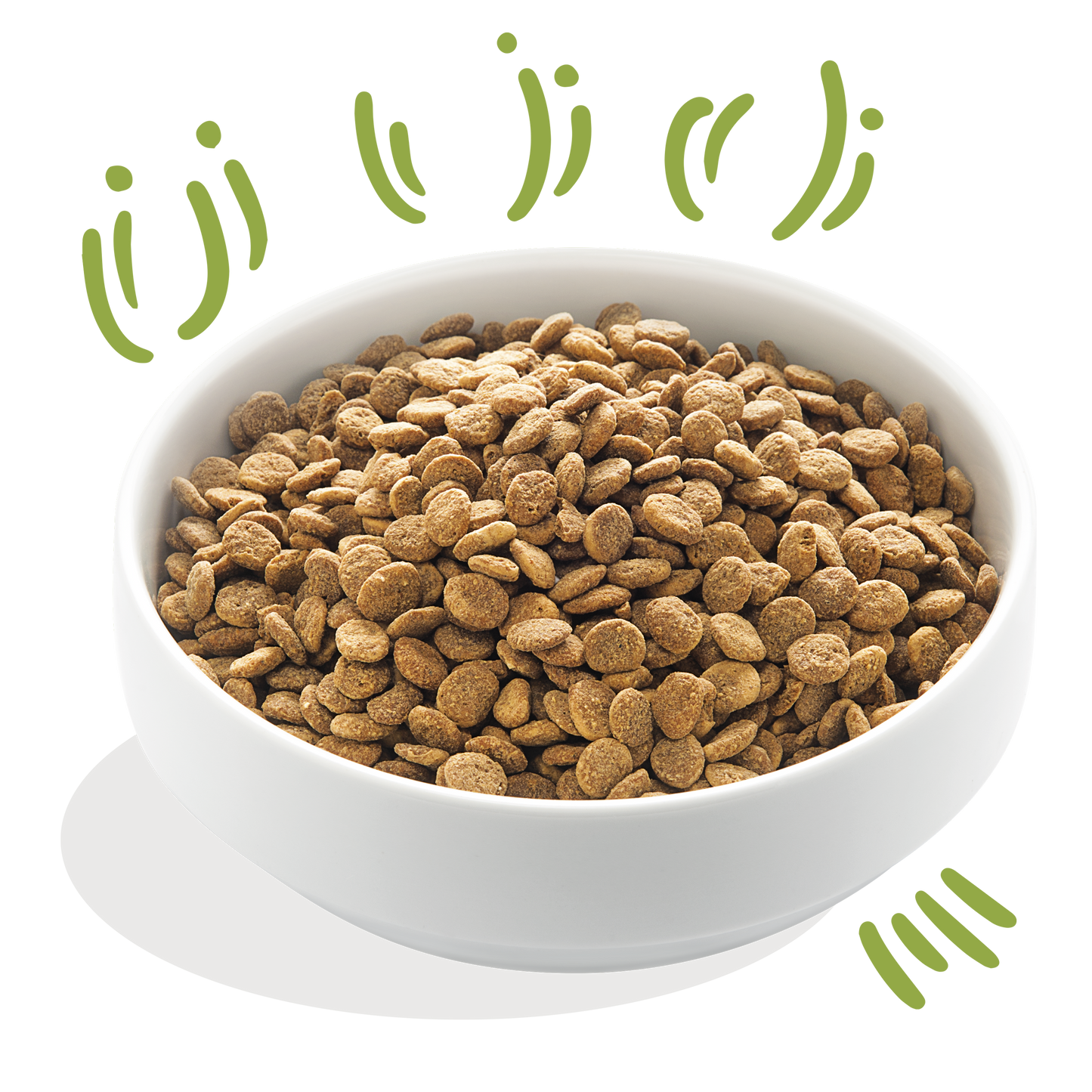 Edgard & Cooper Dry food for Dogs in Lamb
