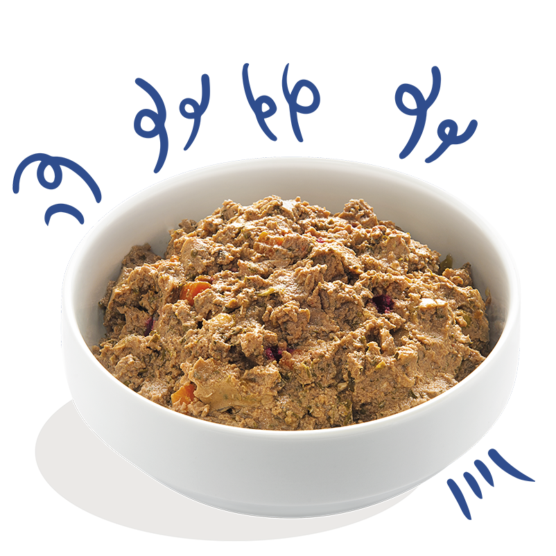 Edgard & Cooper Wet Cup for Dogs Salmon & Turkey 150g