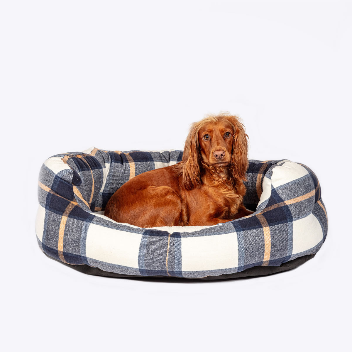 Danish Design Bowmore Navy Deluxe Slumber Bed