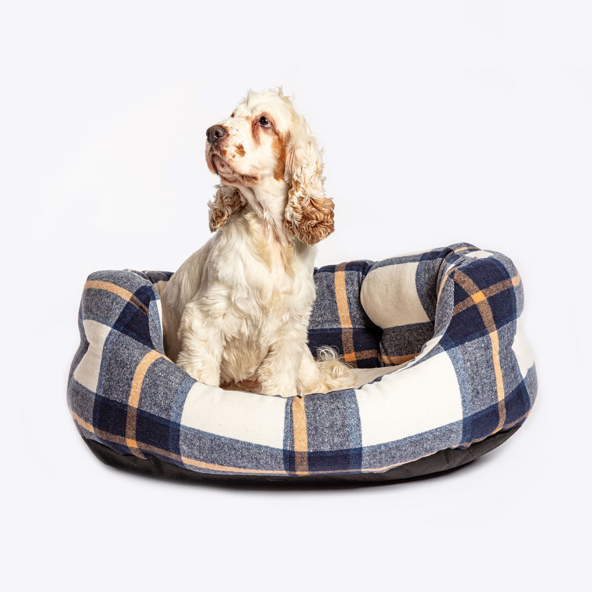 Danish Design Bowmore Navy Deluxe Slumber Bed