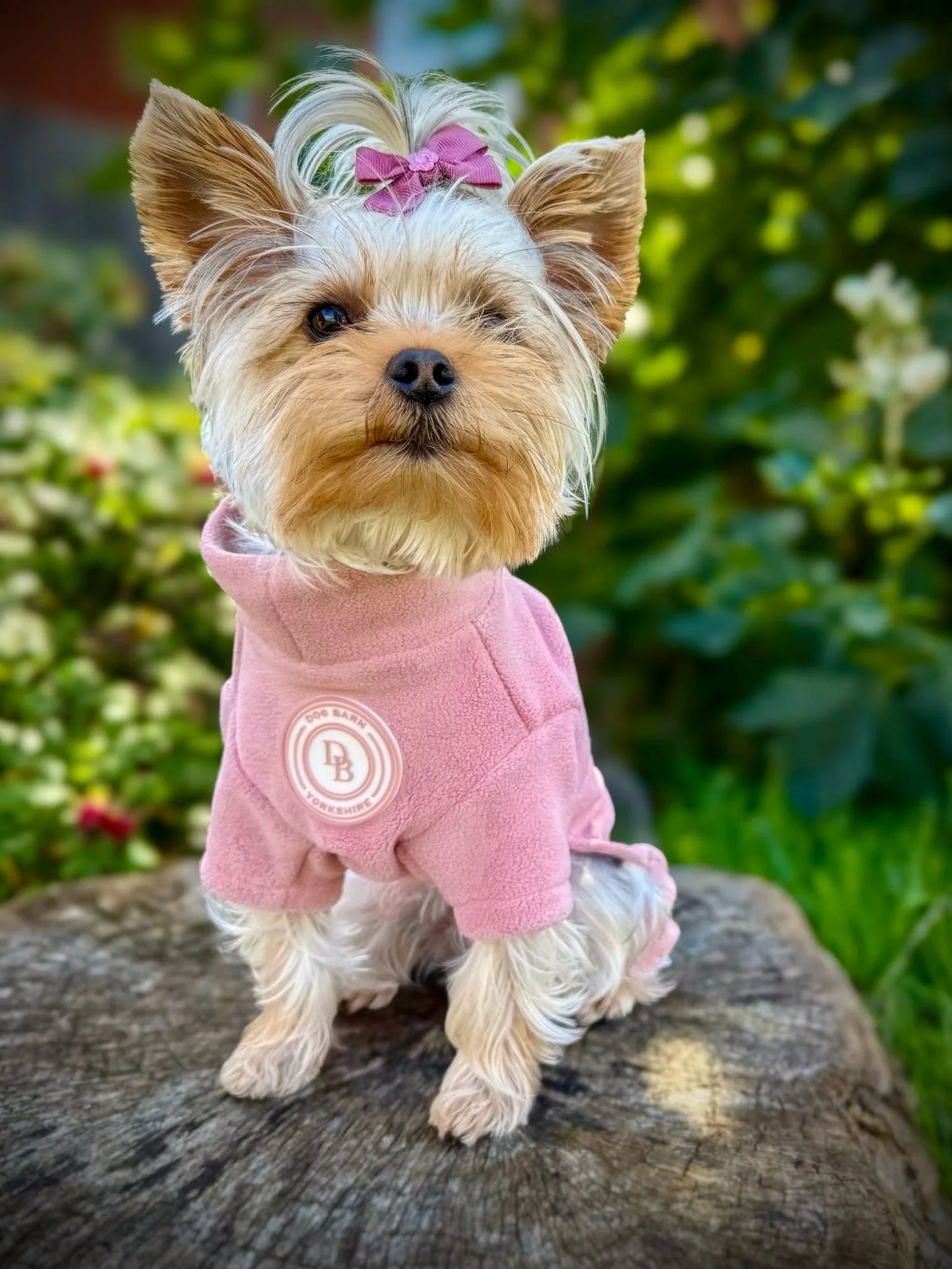 Blush Petal Fleece Suit