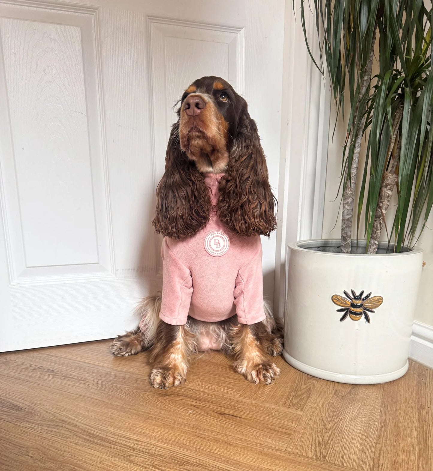 Blush Petal Fleece Suit