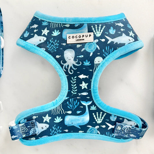 Sea Life Pawty Adjustable Neck Harness