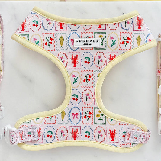 Dolce Vita Adjustable Neck Harness