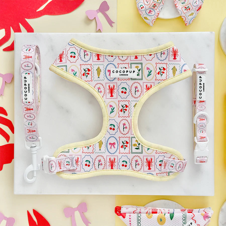 Dolce Vita Adjustable Neck Harness