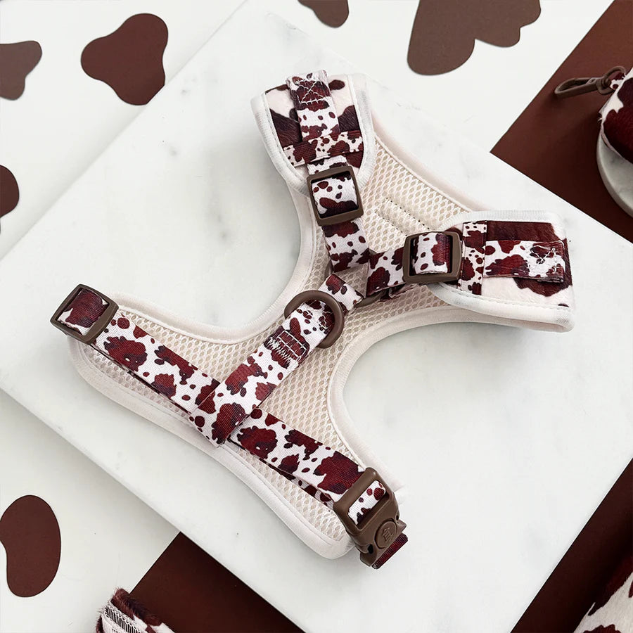 Rodeo Pup Adjustable Neck Harness