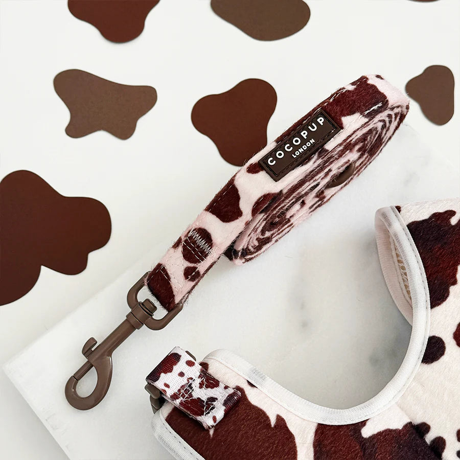 Rodeo Pup Lead