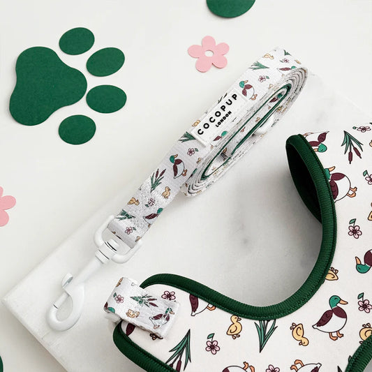 Puddle Pup Lead