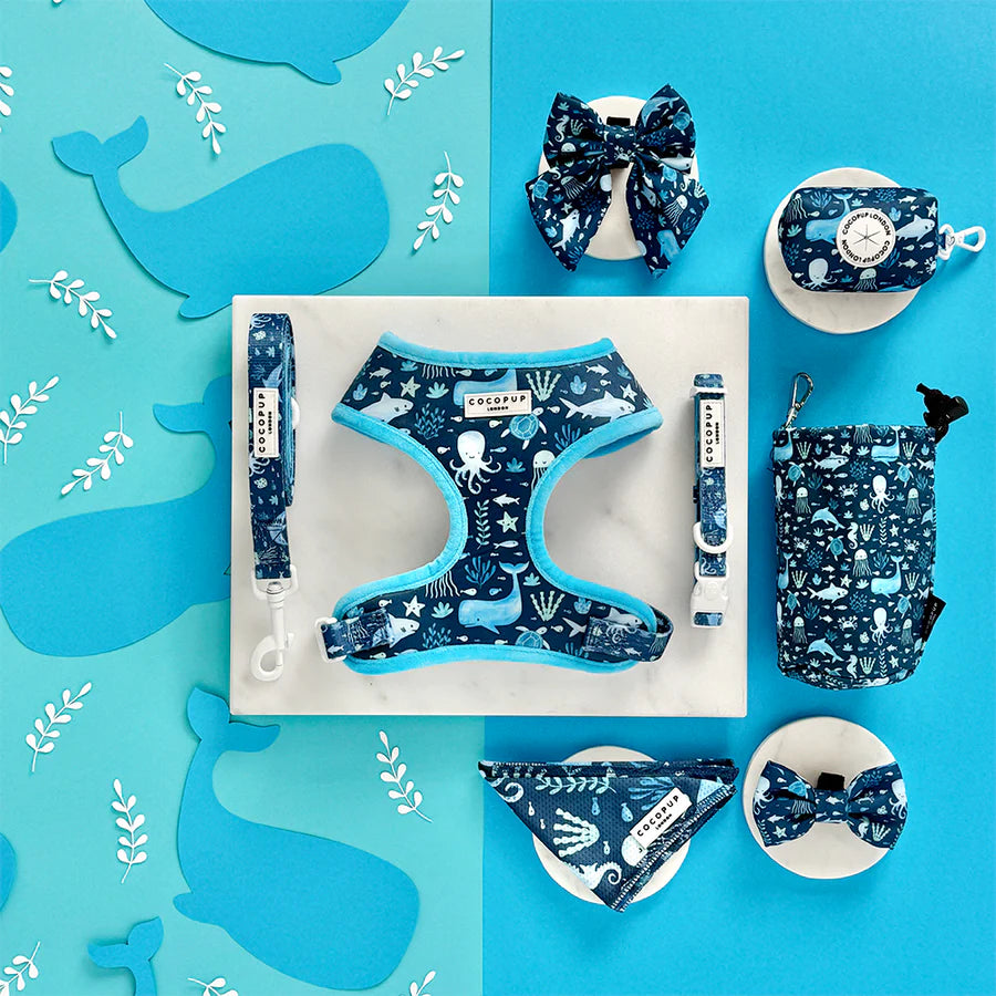 Sea Life Pawty Collar