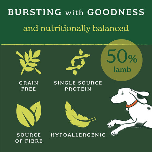 Forthglade Lightly Baked Dry Grain Free Lamb