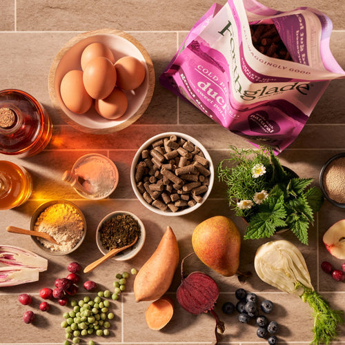 Forthglade Cold Pressed Grain Free Duck