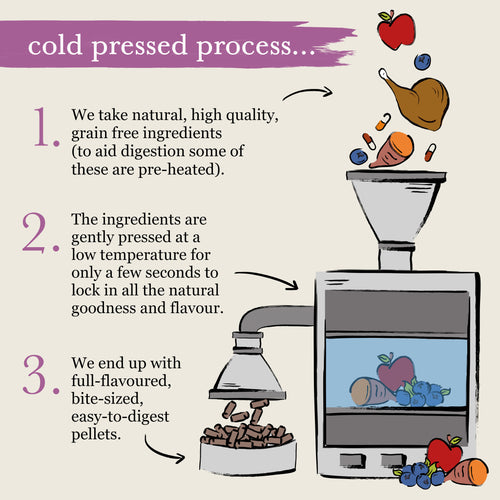 Forthglade Cold Pressed Grain Free Duck