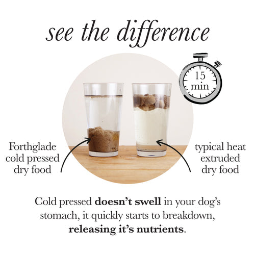 Forthglade Cold Pressed Grain Free Duck
