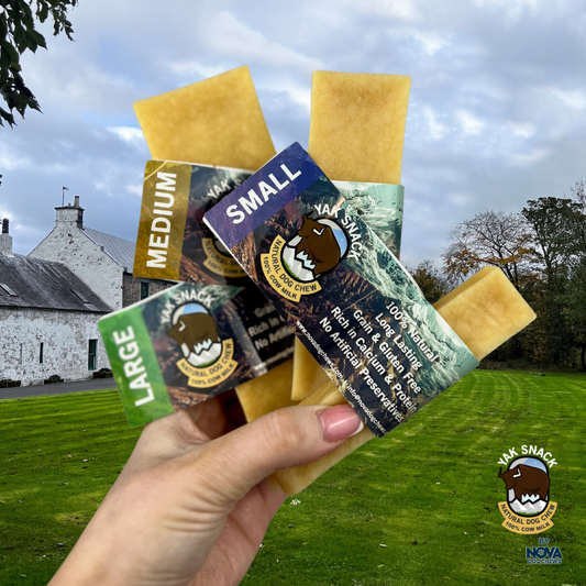 Yak Snack