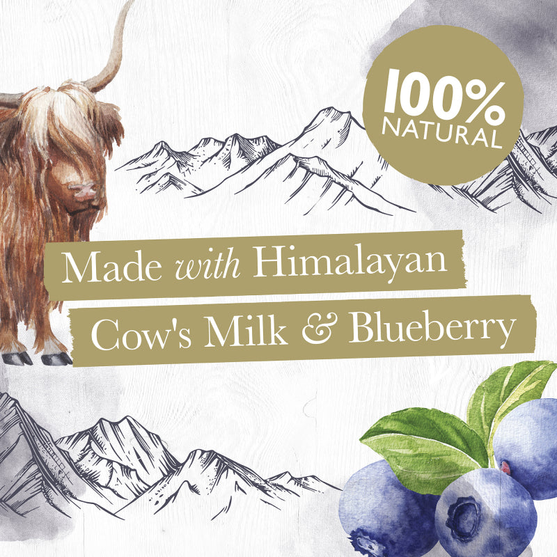 Medium Milk Chew with Blueberry