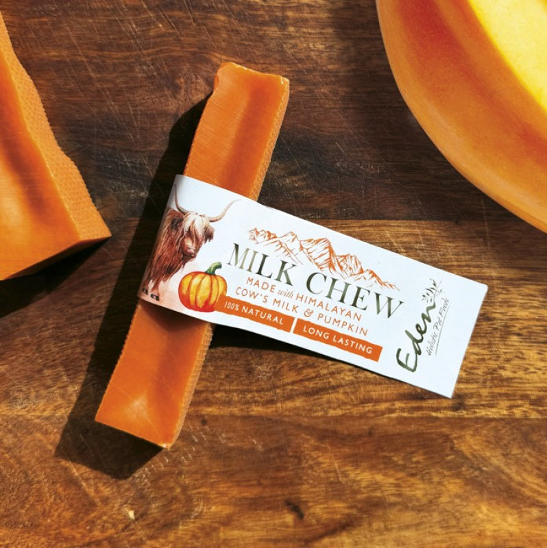 Medium Milk Chew with Pumpkin