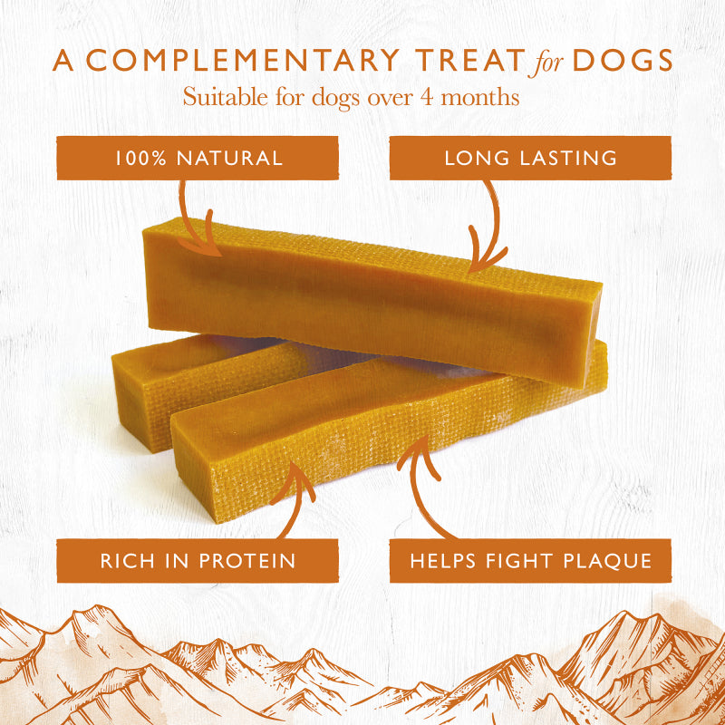 Medium Milk Chew with Pumpkin