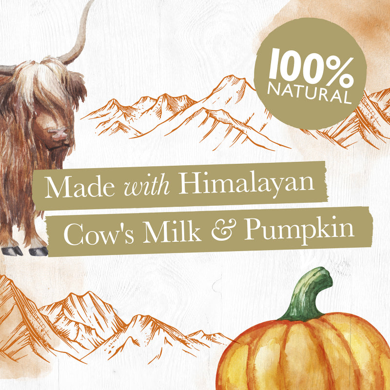 Medium Milk Chew with Pumpkin