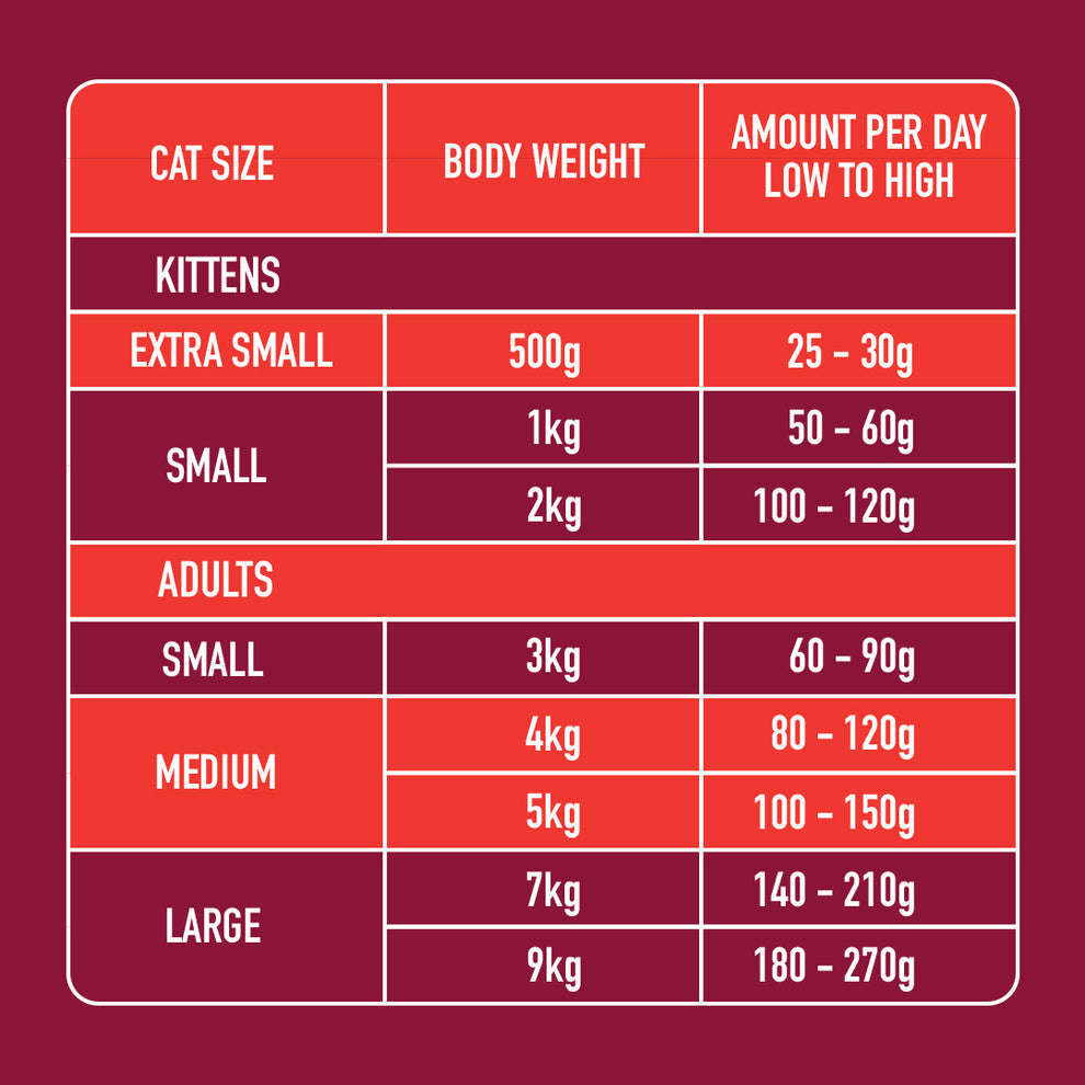 Nutriment Cat Raw Beef 500g